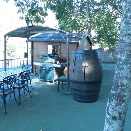 Quinta Da Cartida Villa Santa Marinha do Zezere Ngoại thất bức ảnh
