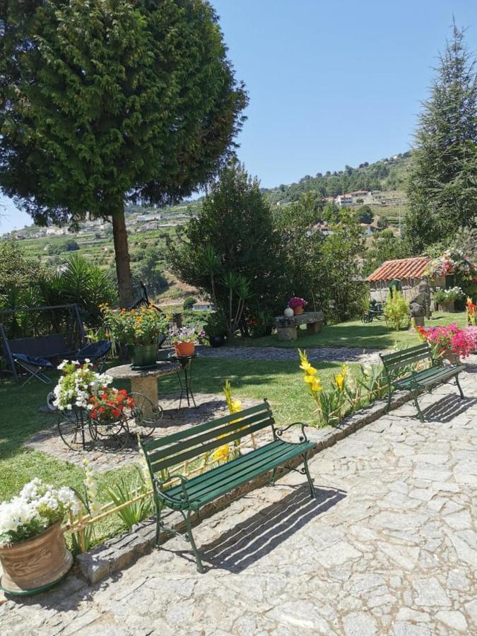 Quinta Da Cartida Villa Santa Marinha do Zezere Ngoại thất bức ảnh