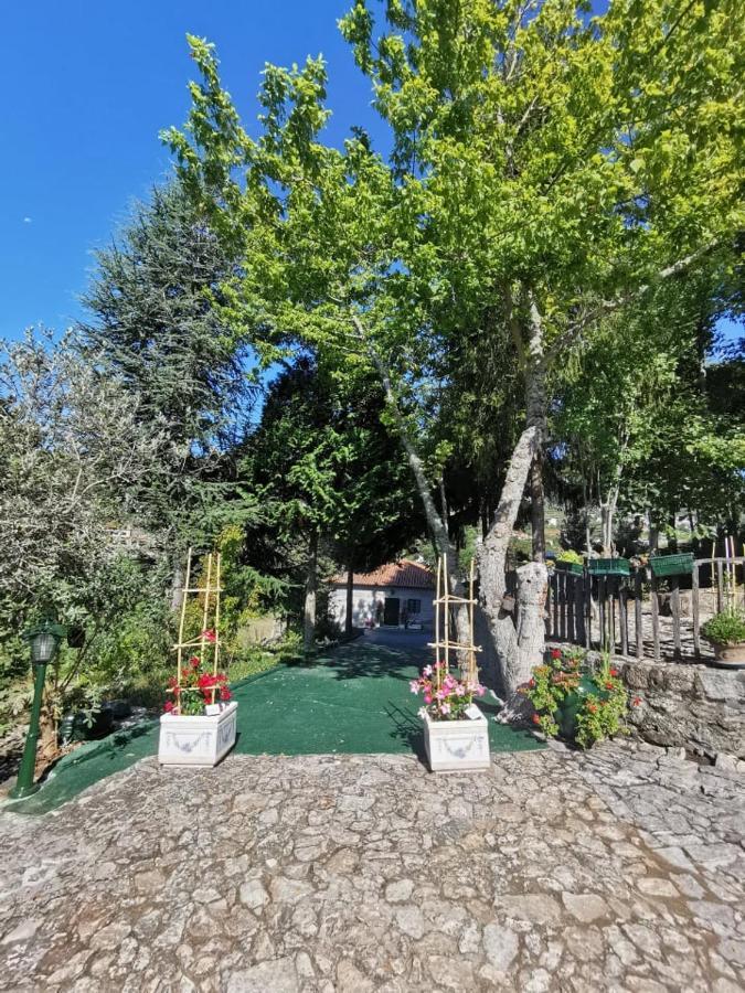 Quinta Da Cartida Villa Santa Marinha do Zezere Ngoại thất bức ảnh