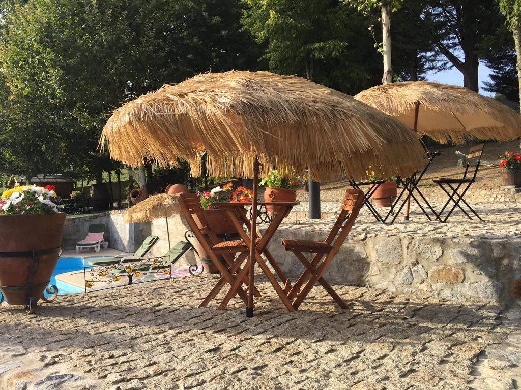 Quinta Da Cartida Villa Santa Marinha do Zezere Ngoại thất bức ảnh