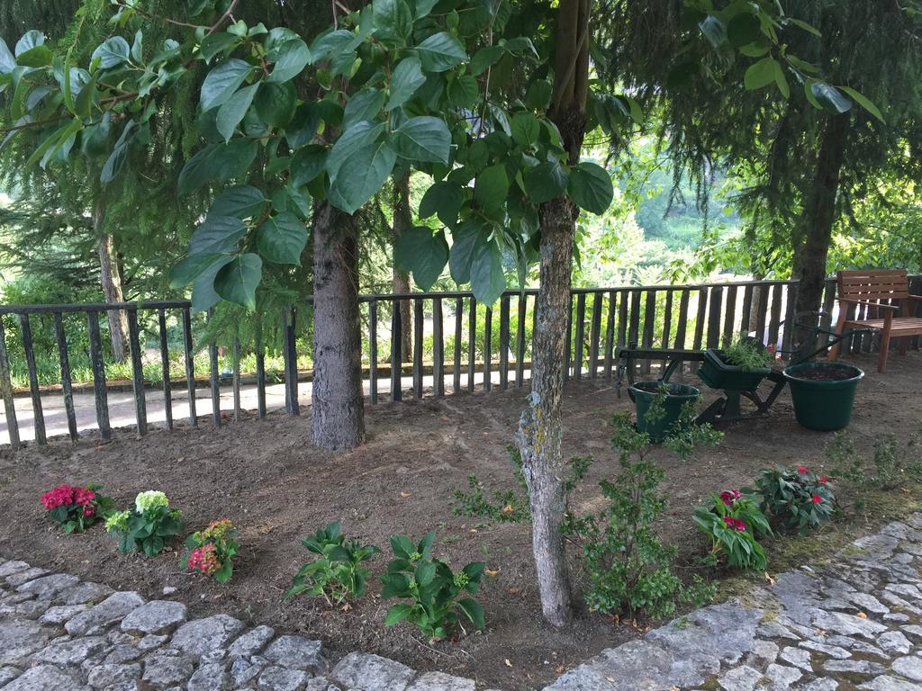 Quinta Da Cartida Villa Santa Marinha do Zezere Ngoại thất bức ảnh